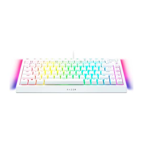 RAZER BLACKWIDOW V4 75% Hot-Swappable Wired Mechanical Gaming Keyboard US - White