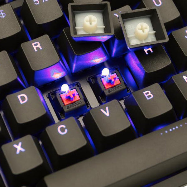 Ducky One 2 TKL RGB Gaming Keyboard - Cherry MX Red Switch